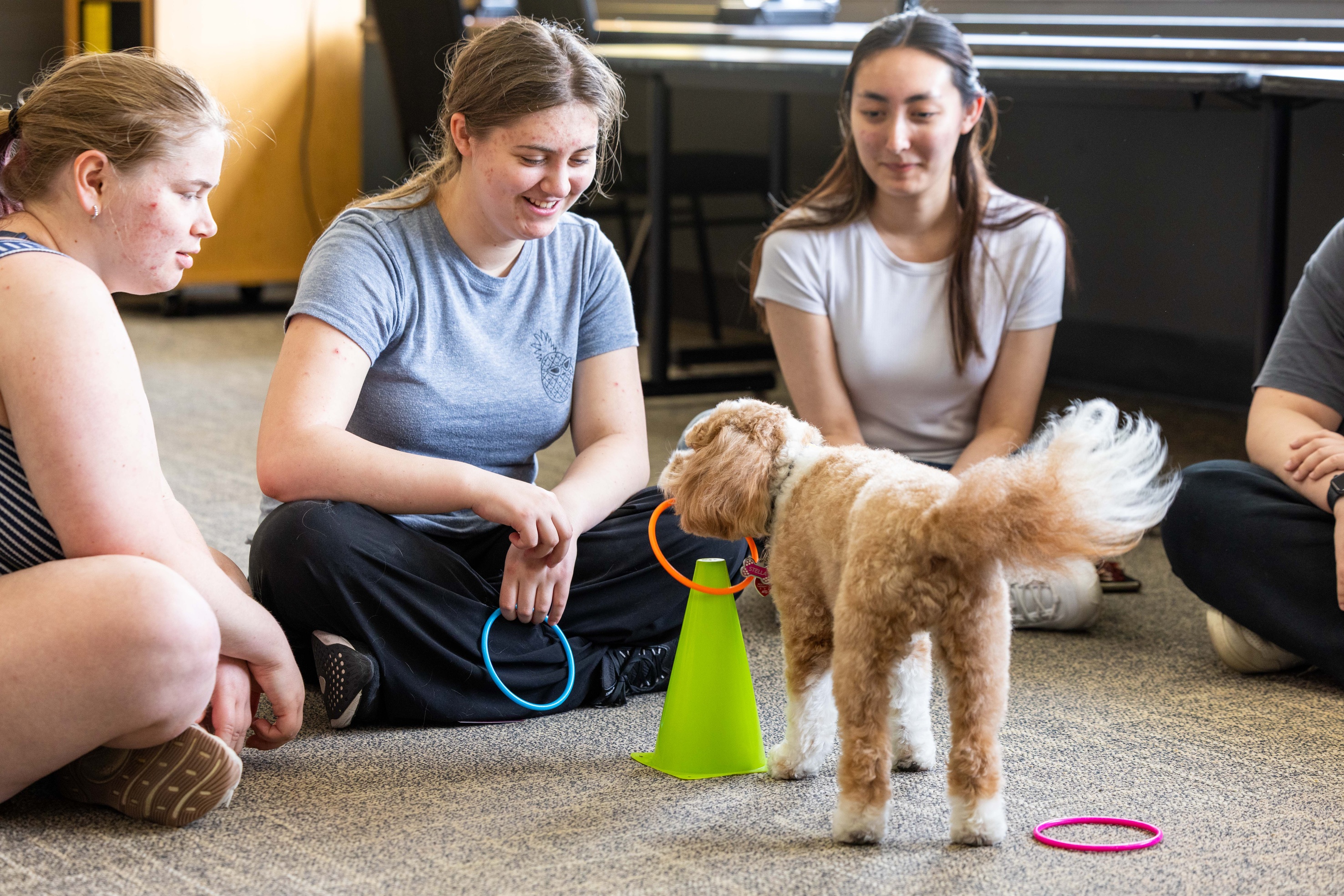 Students engaging with a therapy dog during Finals @ IMU.
